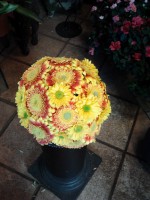 /album/galleria-foto-bouquet/a2011-11-10-12-13-58-jpg/